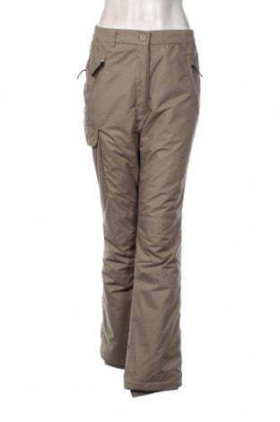Γυναίκειο παντελόνι για χειμερινά σπορ Crane, Μέγεθος S, Χρώμα Γκρί, Τιμή 16,24 €