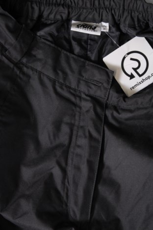 Γυναίκειο παντελόνι για χειμερινά σπορ Crane, Μέγεθος M, Χρώμα Μαύρο, Τιμή 13,45 €
