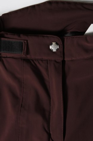 Γυναίκειο παντελόνι για χειμερινά σπορ Descente, Μέγεθος M, Χρώμα Καφέ, Τιμή 29,67 €