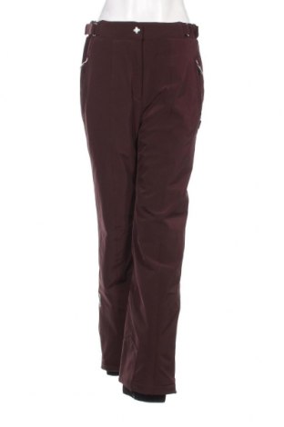 Дамски панталон за зимни спортове Descente, Размер M, Цвят Кафяв, Цена 78,40 лв.