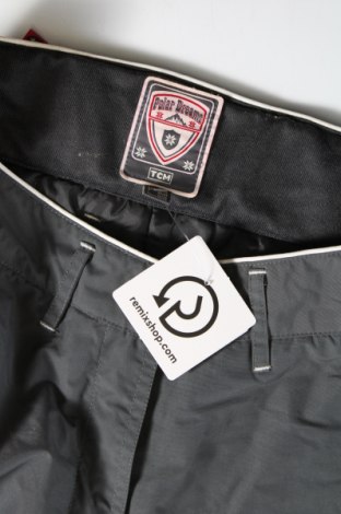 Дамски панталон за зимни спортове TCM, Размер L, Цвят Сив, Цена 16,50 лв.