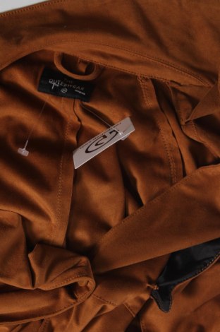 Dámsky prechodný kabát  C&A, Veľkosť XL, Farba Hnedá, Cena  10,98 €