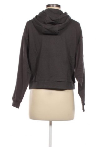 Damen Sweatshirt SUN68, Größe S, Farbe Grau, Preis 17,88 €