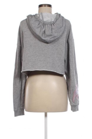 Damen Sweatshirt Tally Weijl, Größe M, Farbe Grau, Preis 20,18 €