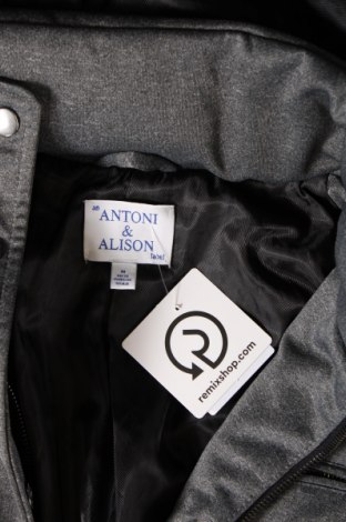 Γυναικείο μπουφάν Antoni&Alison, Μέγεθος M, Χρώμα Γκρί, Τιμή 120,93 €