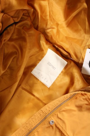 Γυναικείο μπουφάν Esprit, Μέγεθος S, Χρώμα Λευκό, Τιμή 18,04 €