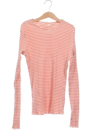 Παιδική μπλούζα, Μέγεθος 13-14y/ 164-168 εκ., Χρώμα Πολύχρωμο, Τιμή 3,13 €