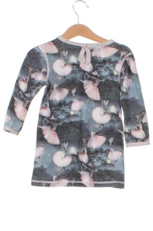 Kinder Shirt Molo, Größe 12-18m/ 80-86 cm, Farbe Mehrfarbig, Preis 5,12 €