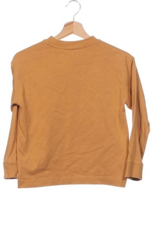 Kinder Shirt Zara, Größe 7-8y/ 128-134 cm, Farbe Braun, Preis 5,87 €