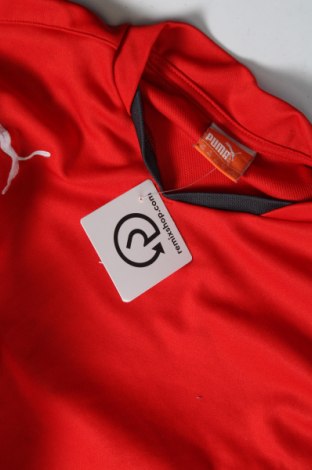Παιδική μπλούζα αθλητική PUMA, Μέγεθος 12-13y/ 158-164 εκ., Χρώμα Κόκκινο, Τιμή 18,49 €
