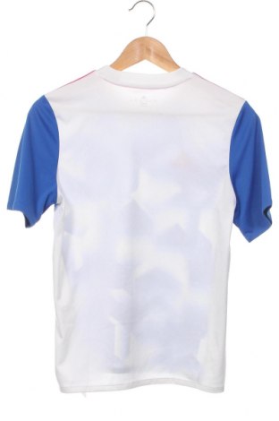Dziecięcy T-shirt Adidas, Rozmiar 13-14y/ 164-168 cm, Kolor Niebieski, Cena 86,87 zł