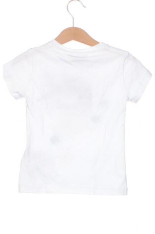 Dziecięcy T-shirt Roberto Cavalli, Rozmiar 3-4y/ 104-110 cm, Kolor Kolorowy, Cena 363,11 zł