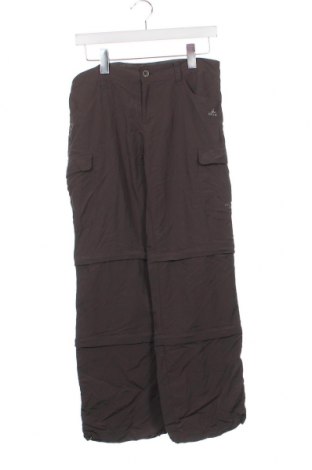 Pantaloni pentru copii Ock, Mărime 15-18y/ 170-176 cm, Culoare Gri, Preț 31,09 Lei