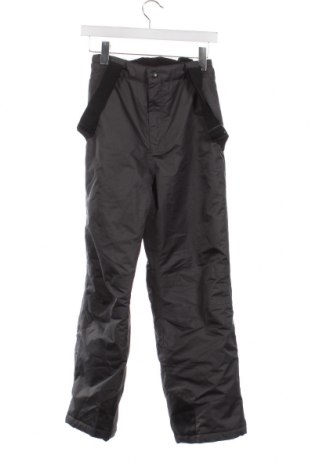 Детски панталон за зимни спортове Crane, Размер 10-11y/ 146-152 см, Цвят Сив, Цена 19,95 лв.