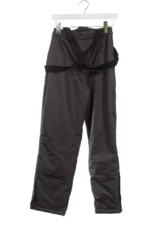 Παιδικό παντελόνι για χειμερινά σπορ Crane, Μέγεθος 10-11y/ 146-152 εκ., Χρώμα Γκρί, Τιμή 21,65 €