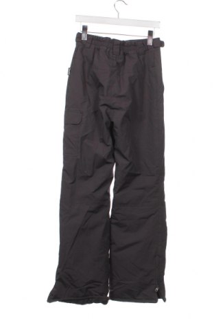 Детски панталон за зимни спортове Crane, Размер 15-18y/ 170-176 см, Цвят Сив, Цена 22,17 лв.