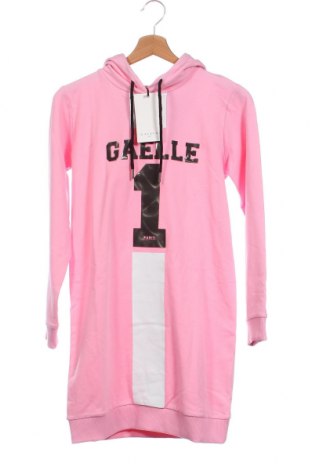 Kinder Sweatshirts Gaelle Paris, Größe 13-14y/ 164-168 cm, Farbe Rosa, Preis 15,57 €