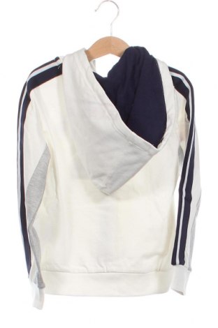 Dziecięca bluza U.S. Polo Assn., Rozmiar 5-6y/ 116-122 cm, Kolor Biały, Cena 217,50 zł