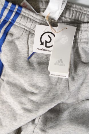 Kinder Sporthose Adidas Originals, Größe 9-10y/ 140-146 cm, Farbe Grau, Preis € 29,48
