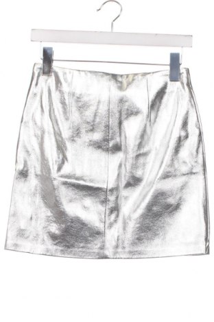Δερμάτινη φούστα Pinko, Μέγεθος XXS, Χρώμα Ασημί, Τιμή 51,87 €