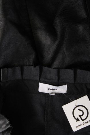 Δερμάτινη φούστα Zebra, Μέγεθος L, Χρώμα Μαύρο, Τιμή 3,05 €