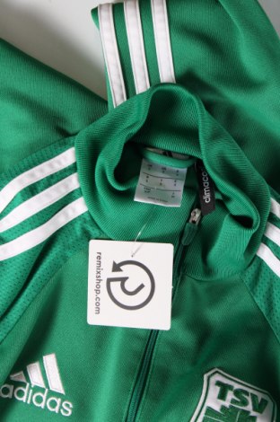 Herren Shirt Adidas, Größe S, Farbe Grün, Preis 16,70 €