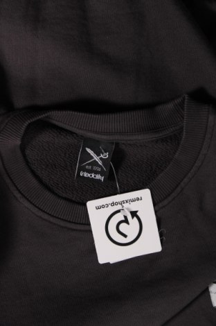 Ανδρική μπλούζα Iriedaily, Μέγεθος L, Χρώμα Γκρί, Τιμή 15,85 €