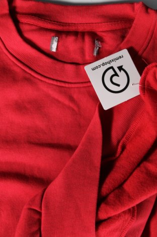 Pánské tričko  Primark, Velikost XXL, Barva Červená, Cena  145,00 Kč