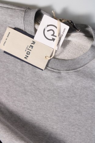 Ανδρική μπλούζα Reign, Μέγεθος S, Χρώμα Γκρί, Τιμή 11,66 €