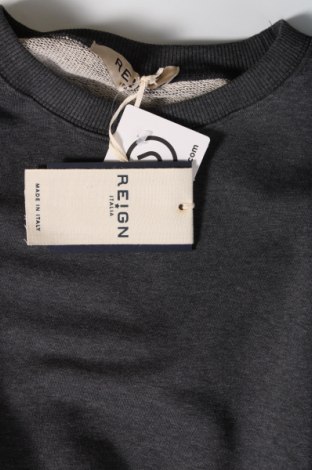 Ανδρική μπλούζα Reign, Μέγεθος L, Χρώμα Γκρί, Τιμή 11,66 €