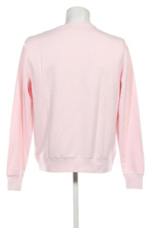 Herren Shirt SUN68, Größe XL, Farbe Rosa, Preis 21,03 €