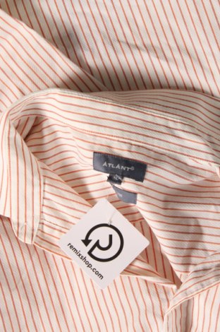 Pánska košeľa  Atlant, Veľkosť XL, Farba Viacfarebná, Cena  16,44 €