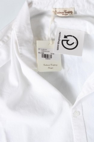 Męska koszula Cashmere Company, Rozmiar L, Kolor Biały, Cena 215,90 zł