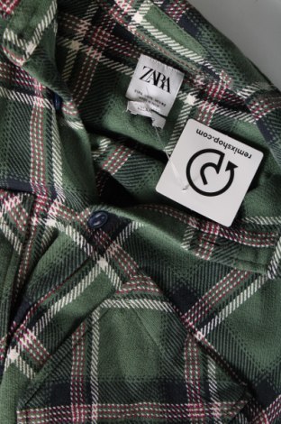 Herrenhemd Zara, Größe L, Farbe Grün, Preis € 4,84