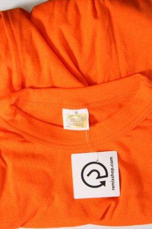 Ανδρικό t-shirt, Μέγεθος XL, Χρώμα Πορτοκαλί, Τιμή 8,04 €