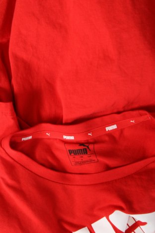 Pánske tričko  PUMA, Veľkosť L, Farba Červená, Cena  26,80 €