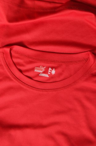 Tricou de bărbați PUMA, Mărime M, Culoare Roșu, Preț 65,79 Lei
