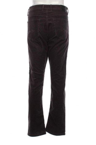 Pantaloni raiați de bărbați Canda, Mărime L, Culoare Gri, Preț 28,62 Lei