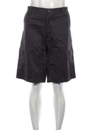 Ανδρικό κοντό παντελόνι, Μέγεθος XL, Χρώμα Γκρί, Τιμή 15,00 €