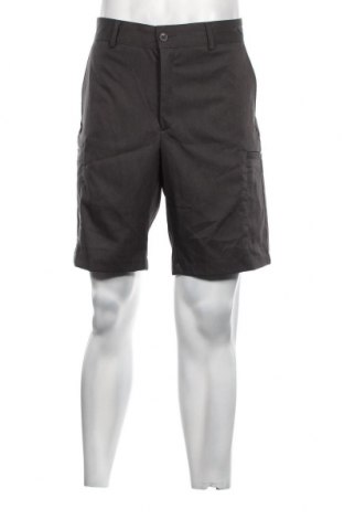 Ανδρικό κοντό παντελόνι Alfani, Μέγεθος L, Χρώμα Γκρί, Τιμή 20,09 €