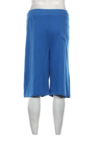 Herren Shorts Identic, Größe XXL, Farbe Blau, Preis € 17,40