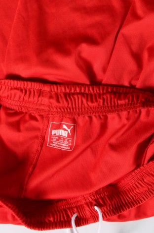 Мъжки къс панталон PUMA, Размер L, Цвят Червен, Цена 24,00 лв.