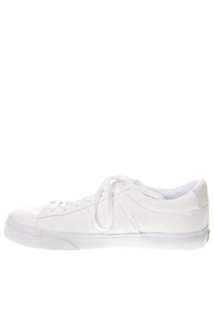 Ανδρικά παπούτσια Polo By Ralph Lauren, Μέγεθος 45, Χρώμα Λευκό, Τιμή 30,31 €