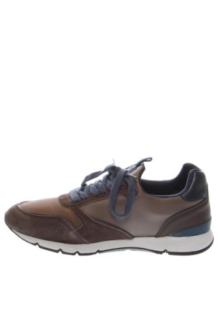 Мъжки обувки U.S. Polo Assn., Размер 44, Цвят Кафяв, Цена 98,03 лв.