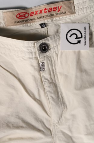Ανδρικό παντελόνι Exxtasy, Μέγεθος XXL, Χρώμα  Μπέζ, Τιμή 10,23 €