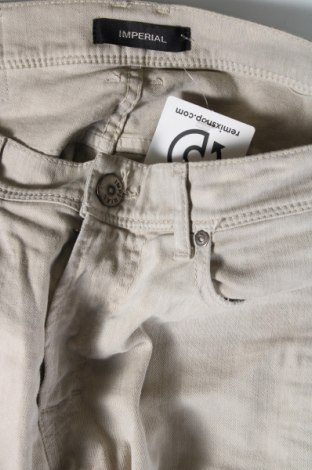 Мъжки панталон Imperial, Размер M, Цвят Сив, Цена 44,00 лв.