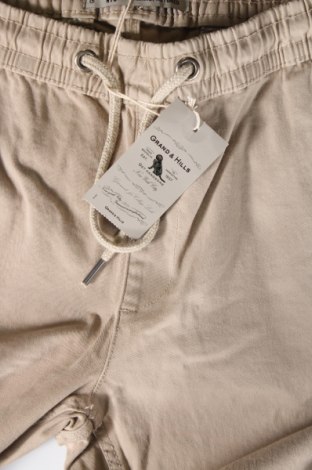 Ανδρικό παντελόνι Oviesse, Μέγεθος L, Χρώμα  Μπέζ, Τιμή 23,71 €