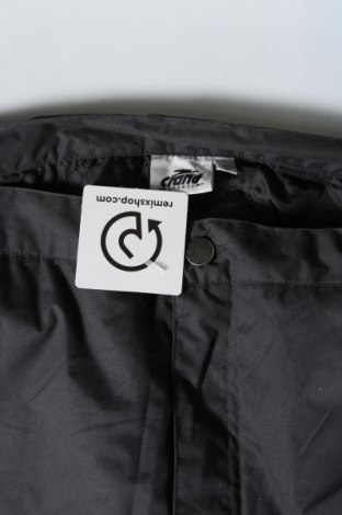 Herrenhose für Wintersport Crane, Größe XL, Farbe Grau, Preis € 23,49