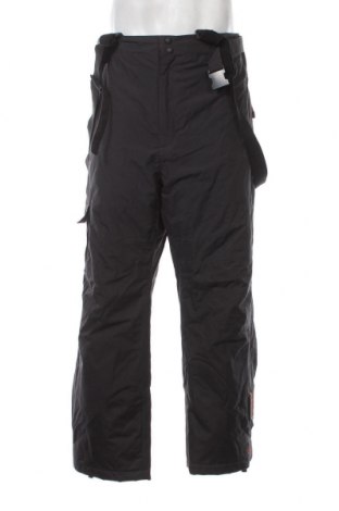 Мъжки панталон за зимни спортове TCM, Размер XL, Цвят Сив, Цена 12,00 лв.