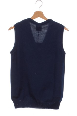 Мъжки пуловер Colmar, Размер S, Цвят Син, Цена 95,94 лв.